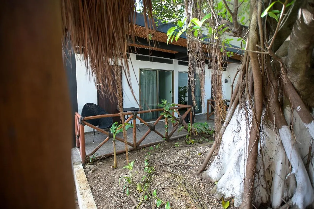 Kinta Kan Cabanas Hotel بلايا ديل كارمن